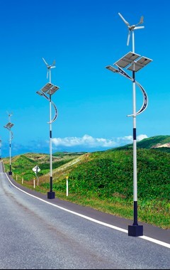 专业供应太阳能风光互补路灯　